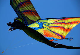 Image result for BARNET and WHETSTONE CHANGQUAN FLYING DRAGON