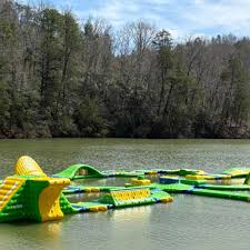 Image result for New Forest Water Park