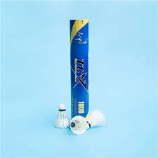 Image result for Flight Badminton Club