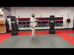 Image result for ATA Martial Arts Maple Ridge