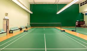 Image result for Causeway Badminton Club