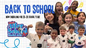 Image result for TopKick Martial Arts Center Leesburg