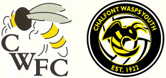 Image result for Wasps Football Club