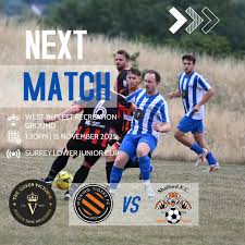 Image result for Shalford F C