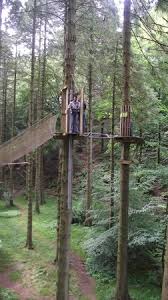 Image result for Go Ape! Grizedale