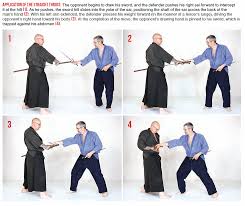 Image result for Sai Martial Arts