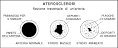 CURA DELL'<b>ARTERIOSCLEROSI</b>,