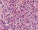 DermpathMD.com-Case Study Current