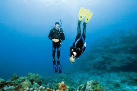 Image result for Scuba Fun
