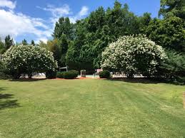 Image result for Newbury Lawn Tennis Club