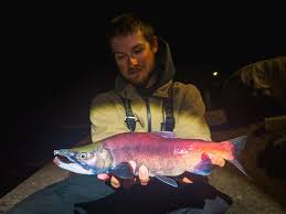 Image result for Moxostoma hubbsi