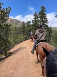 Image result for Old Park Riding Stables