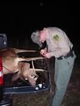 Game Warden Chronicles: Decoys Work | al.