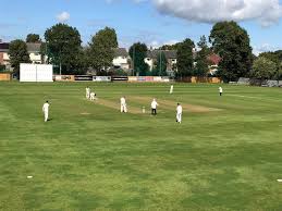 Image result for Cranleigh St Andrews Cricket Club