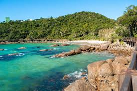 Image result for bombinhas