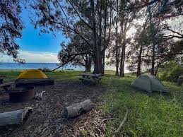 Image result for Bramston Sac