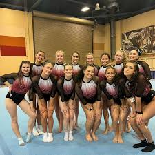 Image result for Arun Gymnastics Club