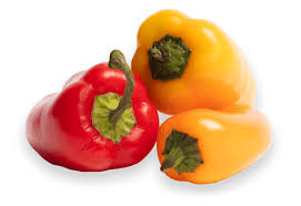 Afbeeldingsresultaat voor baby yellow sweet pepper
