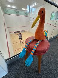 Image result for Reigate Squash Club