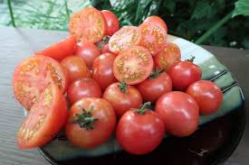 Afbeeldingsresultaat voor brandywine cherry tomato
