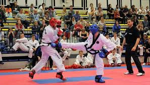 Image result for I T F Taekwondo (Andover)