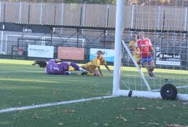 Image result for Dorking Football Club Limited