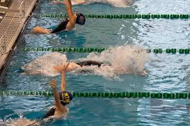 Image result for Mid Beds Swim Squad