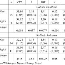 Attēlu rezultāti vaicājumam “Galium schultesii”