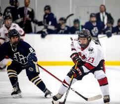 Image result for Demons Skater Hockey Club