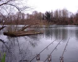 Image result for Orpington District Angling Association