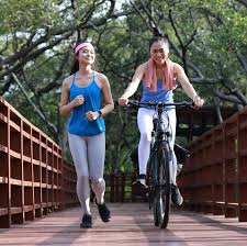 Image result for A-bike