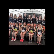 Image result for Wolverhampton City Netball League