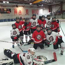 Image result for Basingstoke Bison Ice Hockey Club