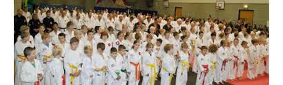 Image result for A BRITISH JUJITSU RYU in Lancing