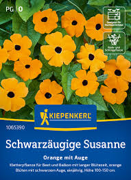 Image result for schwarzäugige Susanne