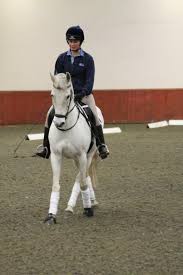 Image result for Chobham and District Riding Club