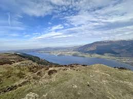 Image result for Go Ape! Whinlatter