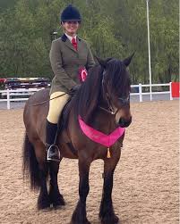 Image result for Huntingdon and District Riding Club
