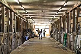Image result for Shey Copse Riding Centre