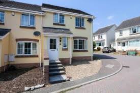 Image result for Newton Abbott Knights