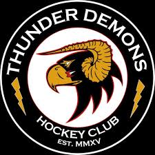 Image result for Basingstoke Demons Floorball Club