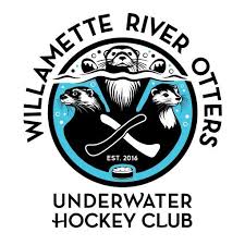 Image result for Plymouth Underwater Hockey Club