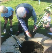 Image result for Pittenweem Bowling Club