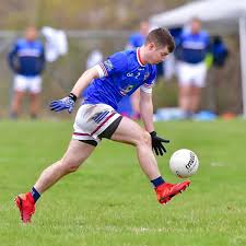 Image result for Wolfe Tones Gaelic Athletic Club