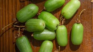 Attēlu rezultāti vaicājumam “Actinidia kolomikta fruit”