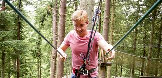 Image result for Go Ape! Grizedale