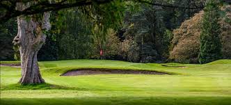 Image result for Vale Of Leven Golf Club