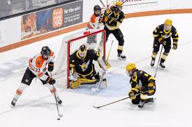 Image result for Ice Hockey International