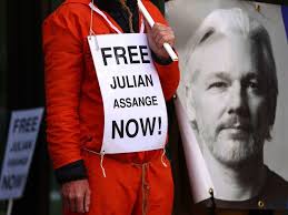 Image result for julian assange