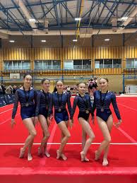 Image result for Warrington Gymnastics Club